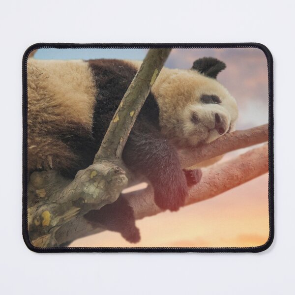 Item preview, Panda,Panda poster,  panoramic,panoramic wall art, panoramic canvas prints widescreen prints, wall posters, Tapestries,Tapestry,,Panda Bear,animal, animals,,Panda  Bear wall art,,Panda Bear artwort designed and sold by eyesight4vision.