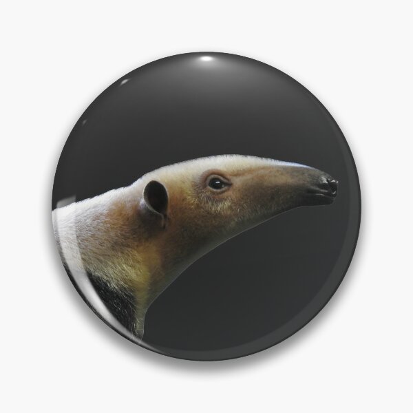 Flavvore Tamandua Pose | Sticker