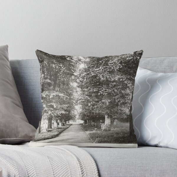 Item preview, The Avenue, Daventry, 1900 designed and sold by NorthantsPast.