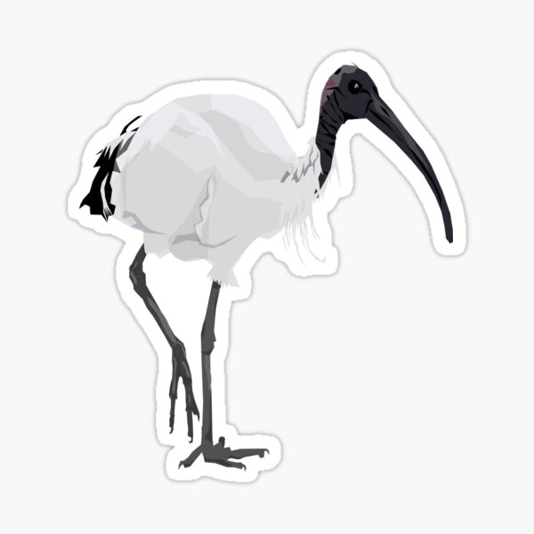 Vista previa del artículo con la obra «Bin Chicken», diseñado y vendido por ZarditDesigns.