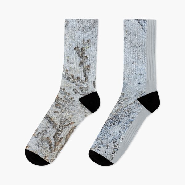 Item preview, Stone with coral imprint 2, Crete collection designed and sold by orangerinka.