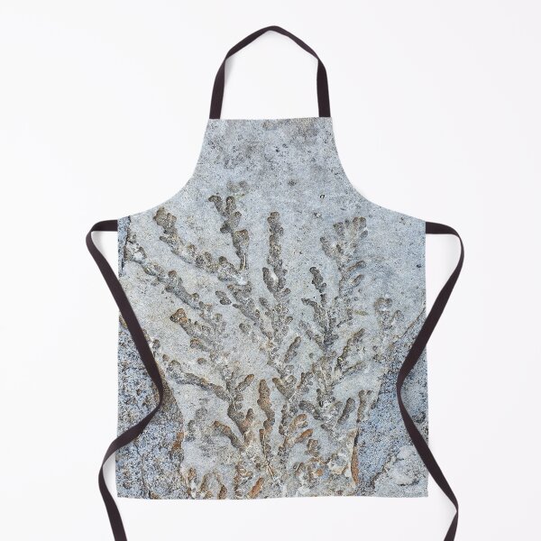 Item preview, Stone with coral imprint 2, Crete collection designed and sold by orangerinka.
