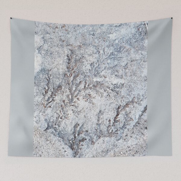 Item preview, Stone with coral imprint 3, Crete collection designed and sold by orangerinka.