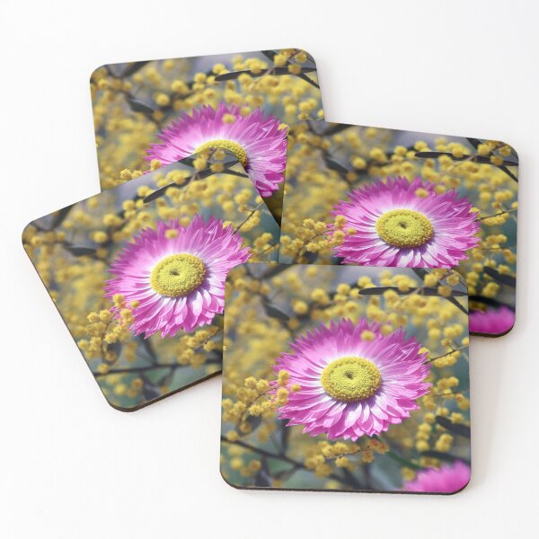Item preview, Rosy Everlasting among Wattle designed and sold by Cloudlingpics.