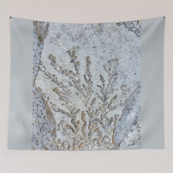 Item preview, Stone with coral imprint 2, Crete collection designed and sold by orangerinka.