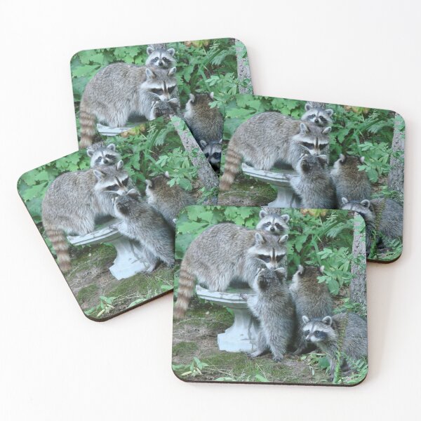 Item preview, Raccoon Mom with 4 Kits designed and sold by Jean Gregory Evans.