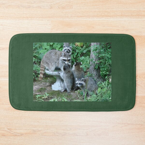 Item preview, Raccoon Mom with 4 Kits designed and sold by Jean Gregory Evans.