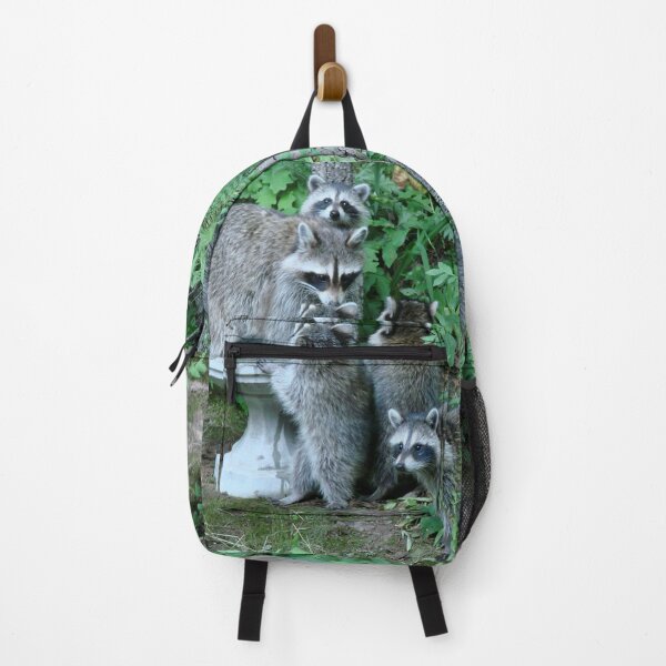 Item preview, Raccoon Mom with 4 Kits designed and sold by Jean Gregory Evans.