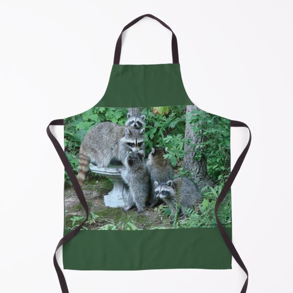 Item preview, Raccoon Mom with 4 Kits designed and sold by Jean Gregory Evans.
