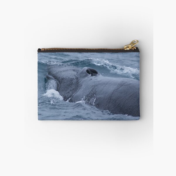 Item preview, Diving Fin Back Whale designed and sold by JasPeRPhoto.