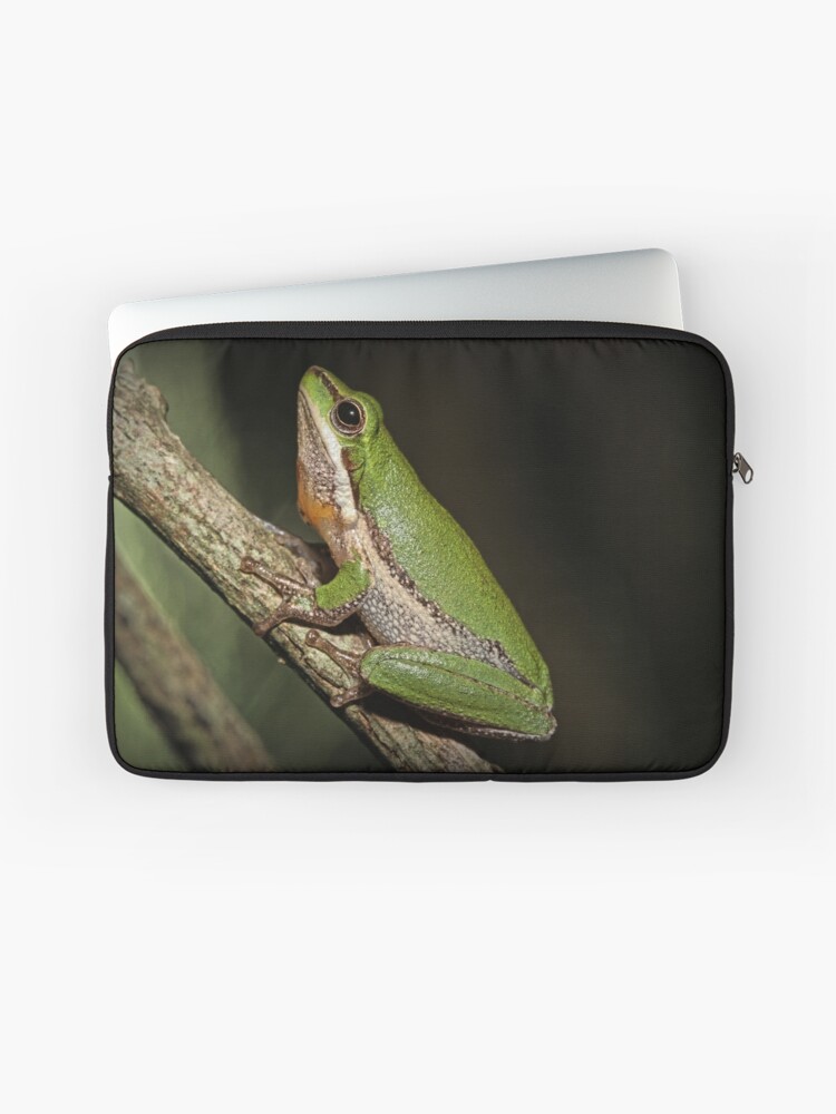 Thumbnail 1 of 2, Laptop Sleeve, Frog on Branch designed and sold by theoddshot.