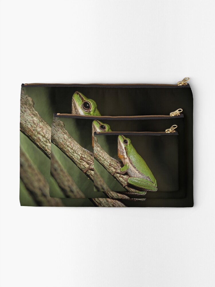 Alternate view of Frog on Branch Zipper Pouch