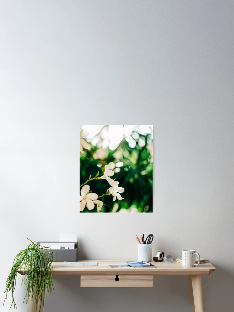 Aperçu 2 sur 3. Poster avec l'œuvre Spring Fling créée et vendue par RissaDD.