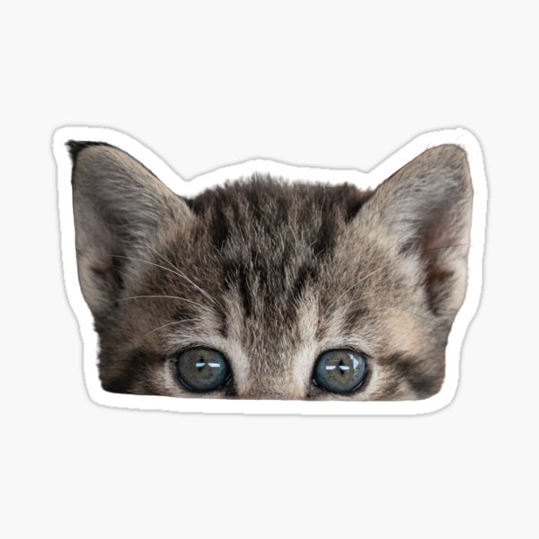 "Half Face Cat" Sticker for Sale by Sekenz Redbubble