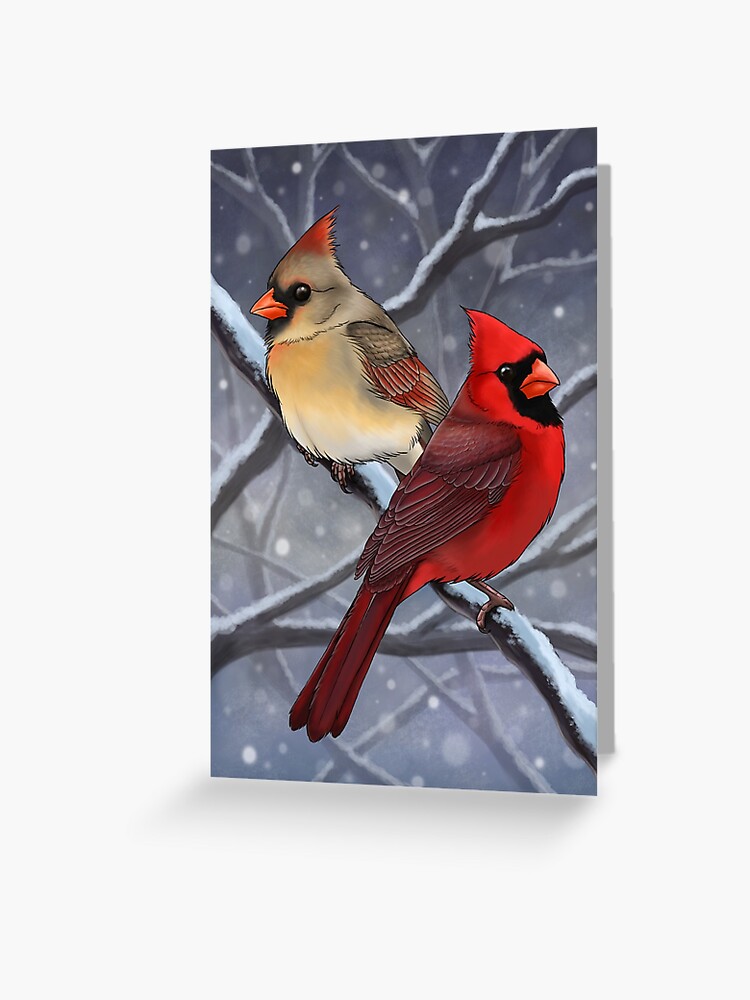 Winter Cardinals Christmas Cards