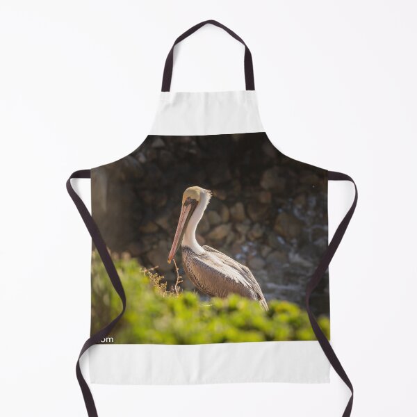 Item preview, Pelican resting in Pismo Beach, California. December 2018. designed and sold by 2Canons.