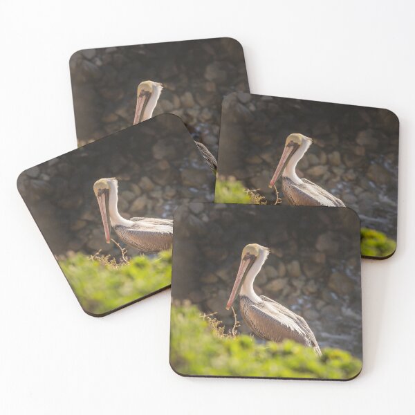 Item preview, Pelican resting in Pismo Beach, California. December 2018. designed and sold by 2Canons.