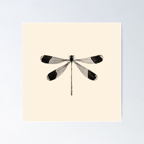 Dragonfly Posters for Sale