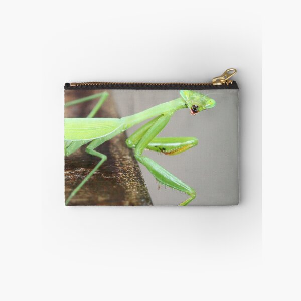 Item preview, I spy with my little eye... designed and sold by Rina Greeff.