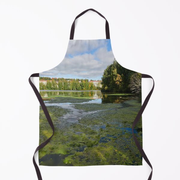 Item preview, The Bubbling Iidesjarvi designed and sold by Jouko Lehto Photography.