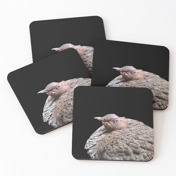 Item preview, Bustard designed and sold by andrew82984.