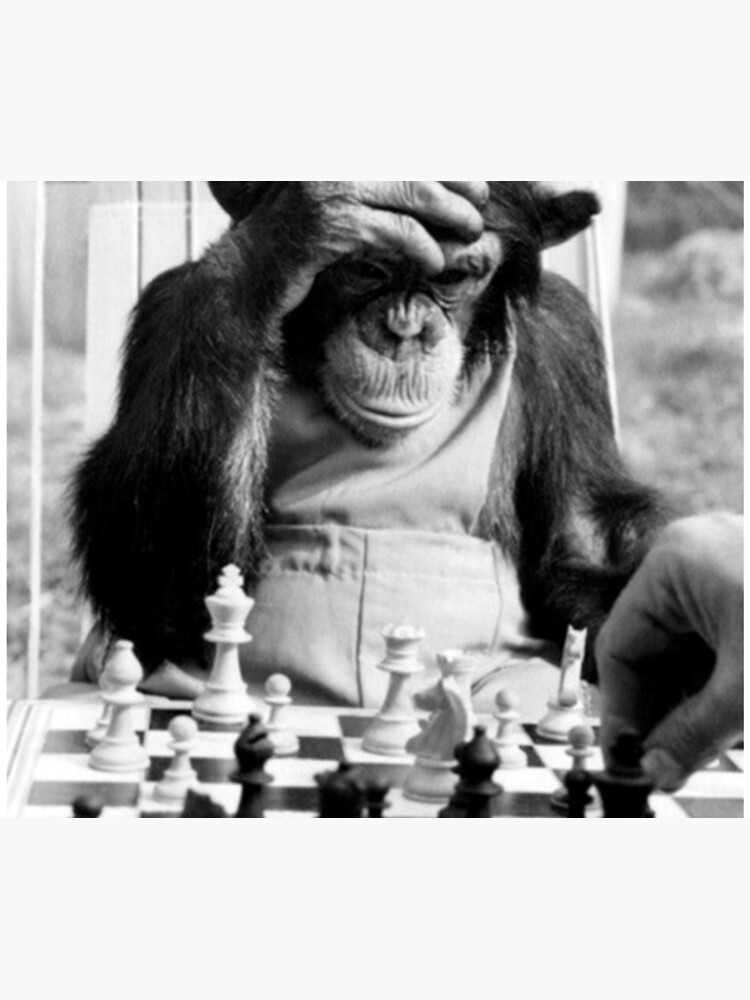 Funny Chess Monkey checkmate king chessboard 3d chess pawn room smart  monkey genius iq game night board game chimpanzees gorilla ape funny chimp   Art Board Print for Sale by weird83