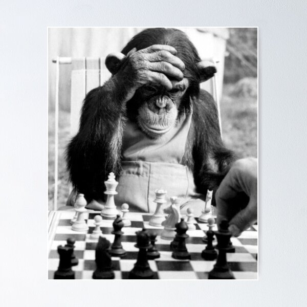 Monkey Play Chess Poster