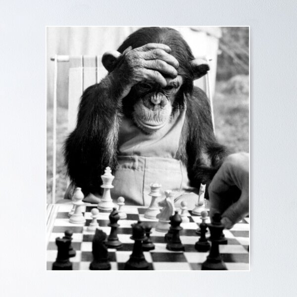 French Defense Chess Opening Poster black Version Chess -  Sweden