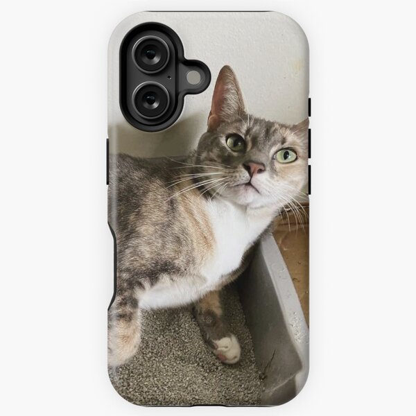 Litter box Legend 3000 iPhone Tough Case