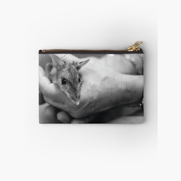 Item preview, Bandicoot designed and sold by Jocelyn  Parry-Jones.
