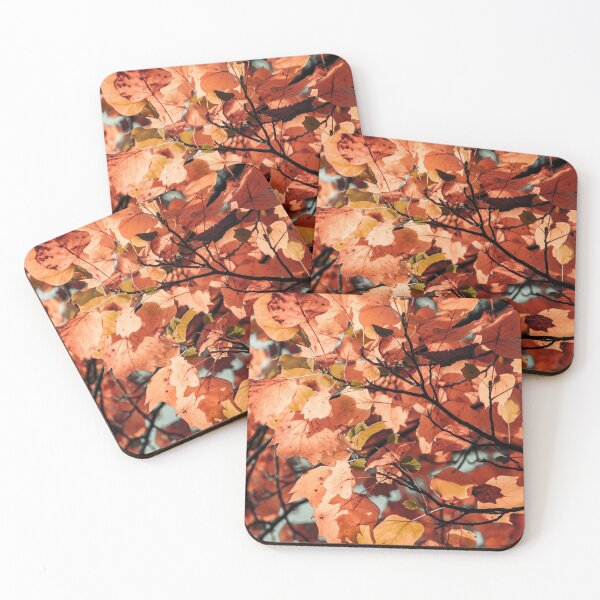 Item preview,  Autumn colour leaves foliage fall season garden designed and sold by TheSeasonalYard.