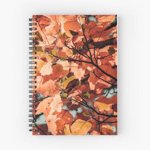 Item preview,  Autumn colour leaves foliage fall season garden designed and sold by TheSeasonalYard.