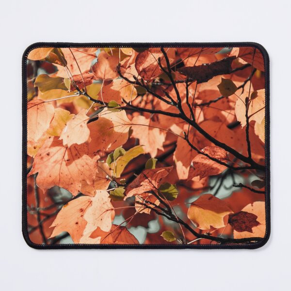Item preview, Autumn colour leaves foliage fall season garden designed and sold by TheSeasonalYard.
