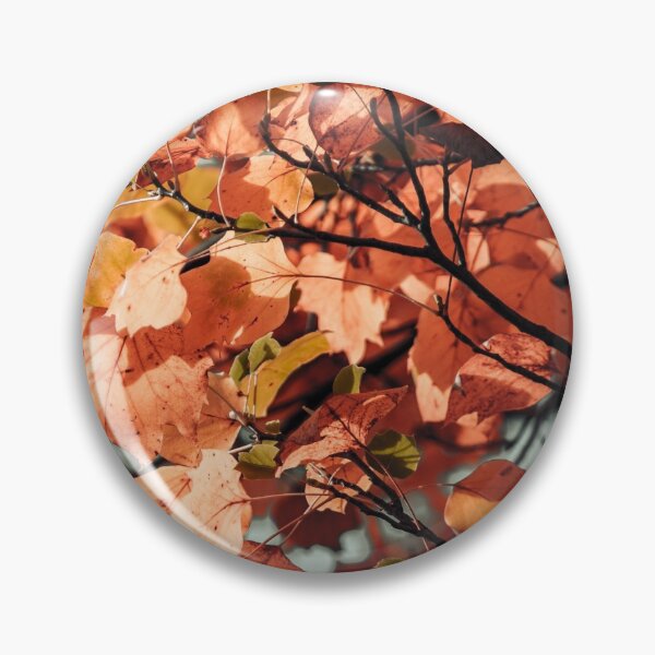 Item preview,  Autumn colour leaves foliage fall season garden designed and sold by TheSeasonalYard.