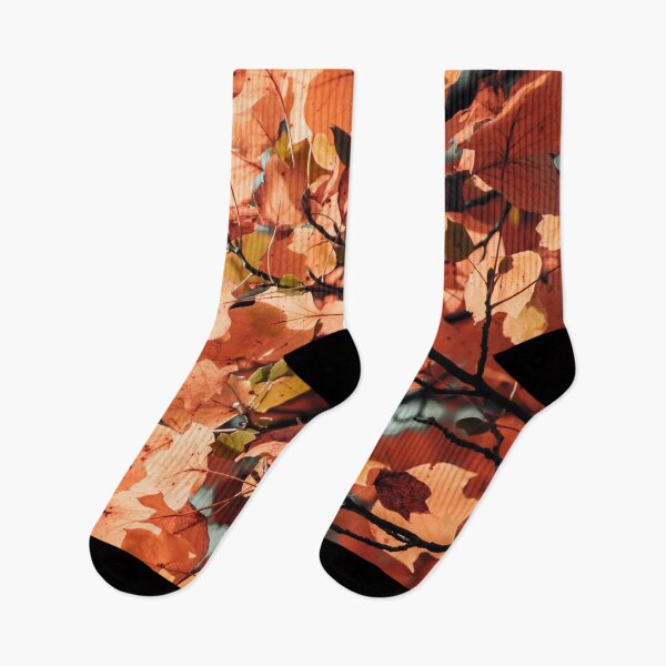 Item preview,  Autumn colour leaves foliage fall season garden designed and sold by TheSeasonalYard.