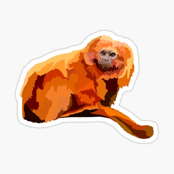 Item preview, G is for Golden Lion Tamarin,Tamarin Illustration – Small and Colorful Tropical Primate Artwork designed and sold by PrettylittlepastelUk.