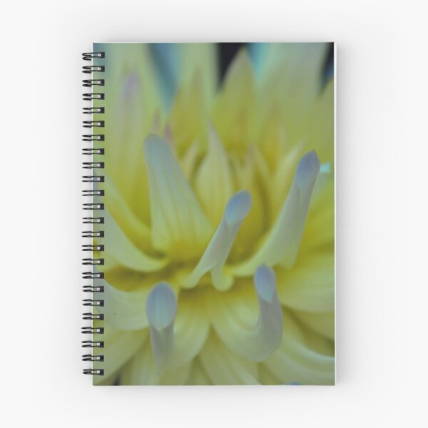 Item preview, Dalia amarilla designed and sold by 2Canons.