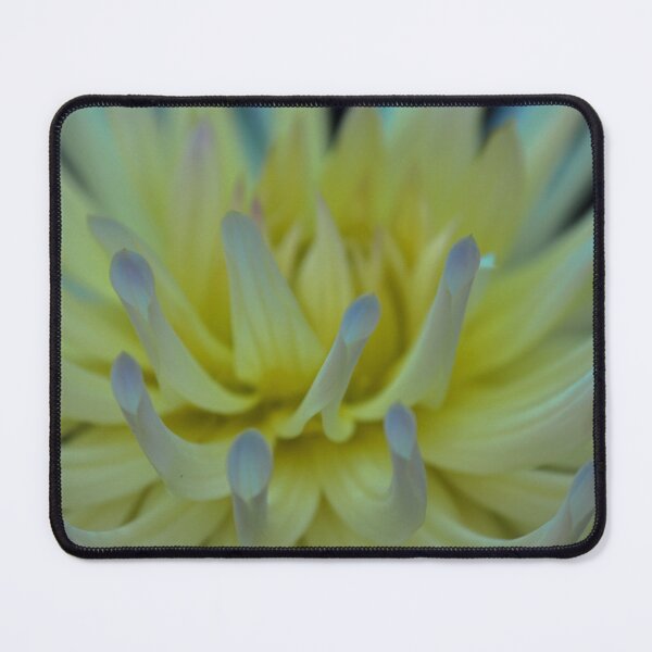 Item preview, Yellow Dahlia designed and sold by 2Canons.