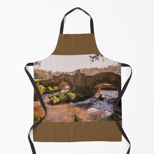 Item preview, LOVERS BRIDGE DUNSTER EXMOOR SOMERSET designed and sold by Richard Brookes Photography.