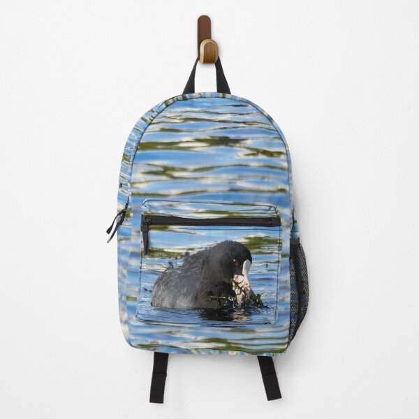 Item preview, Salad of the day. Eurasian coot designed and sold by Jouko Lehto Photography.