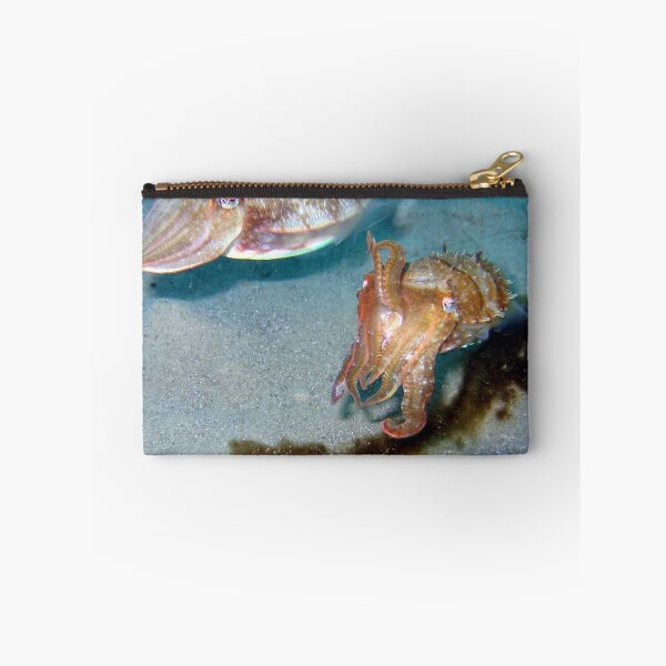 Item preview, Pigmy Cuttle Fish designed and sold by springs.