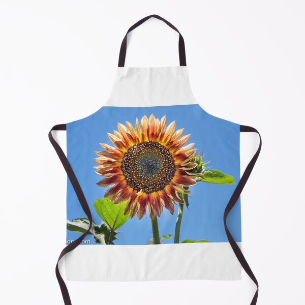 Item preview, Girasol Naranja Amarillento de Bodega Matanzas Creek Julio 2016 designed and sold by 2Canons.