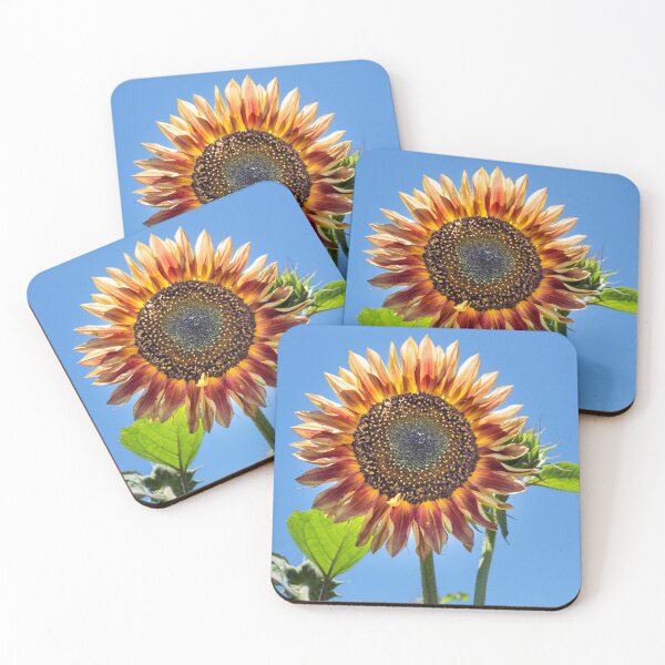 Item preview, Girasol Naranja Amarillento de Bodega Matanzas Creek Julio 2016 designed and sold by 2Canons.