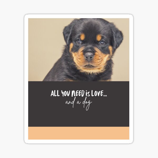 Golden Retriever Club Stickers Redbubble