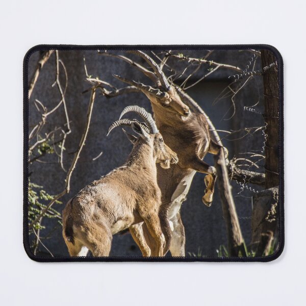 Item preview, Clash designed and sold by Wayne Thomson.