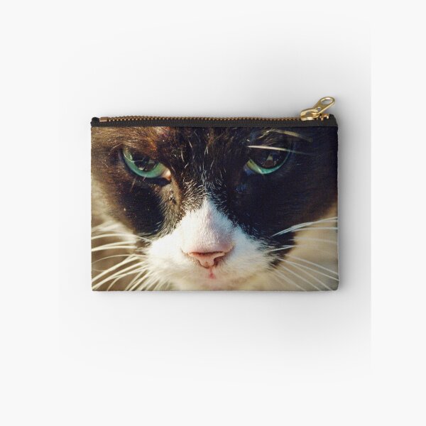 Item preview, Steady Gaze designed and sold by Barry Doherty.