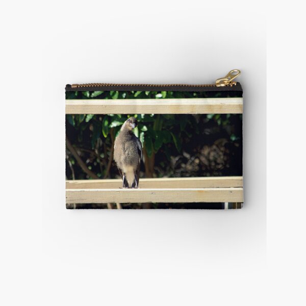 Item preview, North Head Manly - Checking me out designed and sold by miroslava.