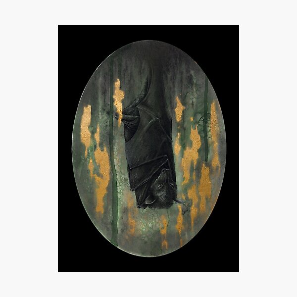 Bat Photographic Print