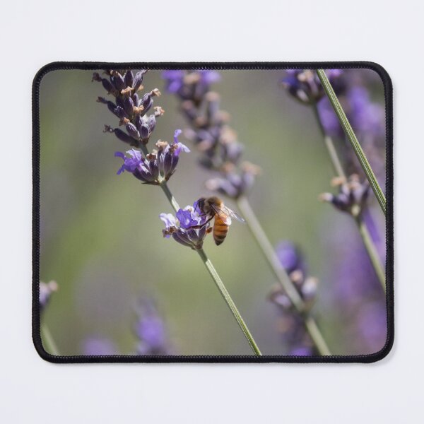 Item preview, Bee on Lavender in July 2016. designed and sold by 2Canons.