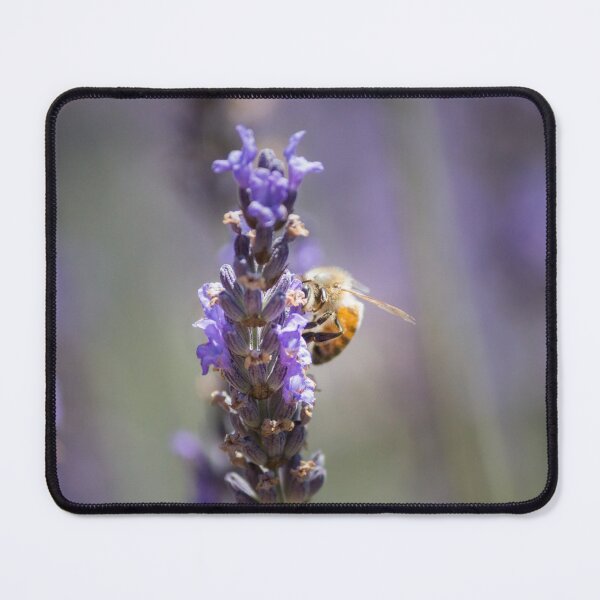 Item preview, Bee is looking for the Lavender pollen July 2016. designed and sold by 2Canons.